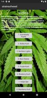 Strains of Weed screenshot 1