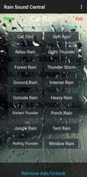 Rain Sound Central poster