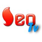 Seo Tv icono