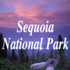 Sequoia National Park icône