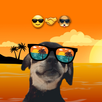 El Pana Sergio stikers APK
