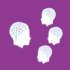 APK Spark for Schools