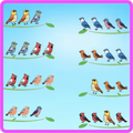 Bird Sort Funny