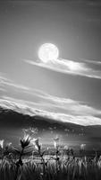 Moon FlashLight (Dual Flash Light) Screenshot 2