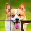 Shape Sort - jigsaw puzzle biểu tượng