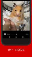 ShareVideo - Video Status For Share , Chat imagem de tela 2