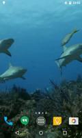 Requins Fond d'écran animé capture d'écran 2