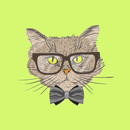 APK Как дрессировать кошек