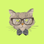 Как дрессировать кошек