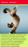 Как дрессировать кошек captura de pantalla 1