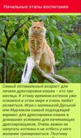 Как дрессировать кошек captura de pantalla 2