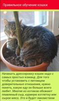Как дрессировать кошек captura de pantalla 3
