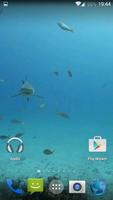 Sharks. Video Wallpaper 截图 1