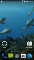 Sharks. Video Wallpaper imagem de tela 2