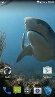 Sharks. Video Wallpaper imagem de tela 3