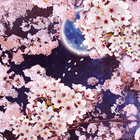 月桜ライブ壁紙 icône