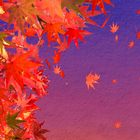 舞い散る紅葉 ライブ壁紙 biểu tượng