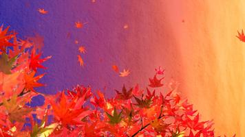 舞い散る紅葉 ライブ壁紙 bài đăng