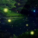 蛍 ライブ壁紙 APK