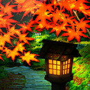 錦秋の坂道 APK
