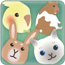 「見つけてポン!!」ゲーム APK