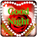APK Good Night Shayari