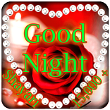 ”Good Night Shayari