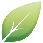 Shiny Leaf icon