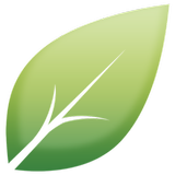 Shiny Leaf 图标