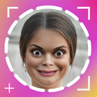 Shook Filter - Funny Face icône