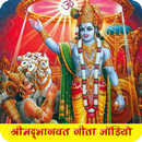 श्रीकृष्ण के गीता उपदेश ऑडियो APK