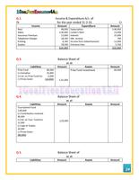 3 Schermata Account Class-12 Solutions (Dk