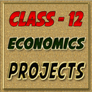 Class 12 Economics Projects APK