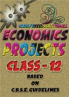 Class 12 Economics Projects Poster