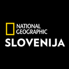 Revija National Geographic Slo simgesi