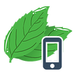 ”limeORDER
