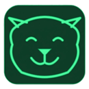 APK SAG VPN: Fast Free VPN