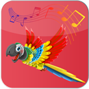 Comptines et chansons en français APK