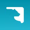 Медведь ТВ APK