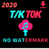 SaveTikTock icon
