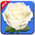 Signal Blumen Stickers