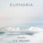 Euphoria F.S. Yousaf icône