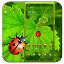 Ladybug Leaf Theme APK