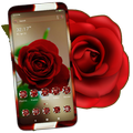”Red Rose Launcher Theme