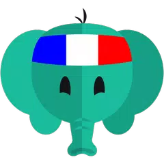 download Impara il Francese APK
