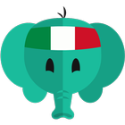 Leer simpel Italiaans-icoon
