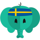 Leer simpel Zweeds-icoon