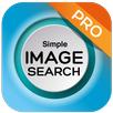 search by image on web APK