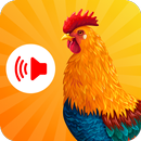Animal Sounds - Ringtone Maker APK