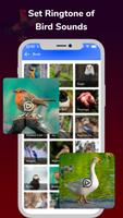 Animal Sounds - Ringtone Maker скриншот 3